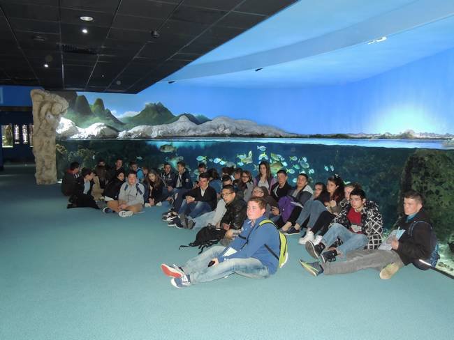 Aquarium