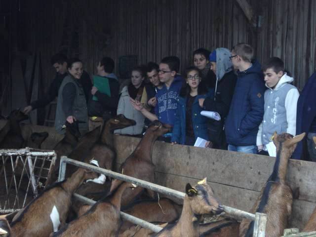 ils se sont rencontres